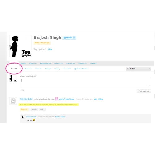 BuddyPress Facebook Like User Activity Stream
