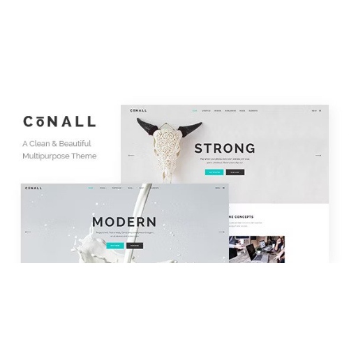 Conall – Clean Multipurpose Theme