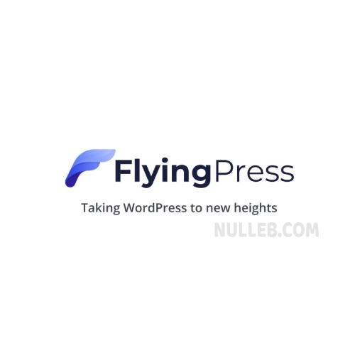 FlyingPress – Taking WordPress to new heights
