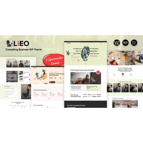 LIEO – Consulting Theme