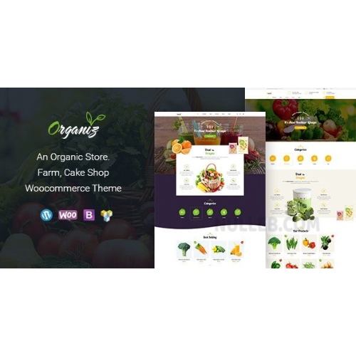Organiz – An Organic Store WooCommerce Theme