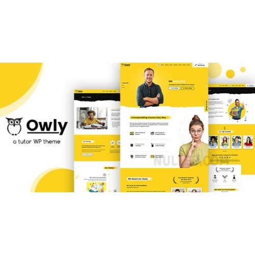 Owly – Tutoring & eLearning WP Theme