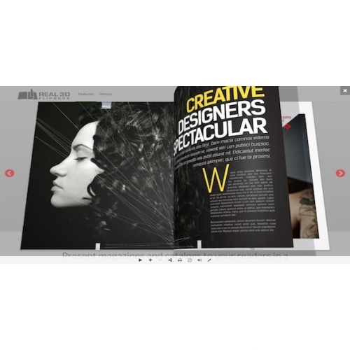 Real3D FlipBook & PDF Viewer WordPress Plugin