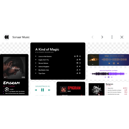 Sonaar MP3 Music Player PRO