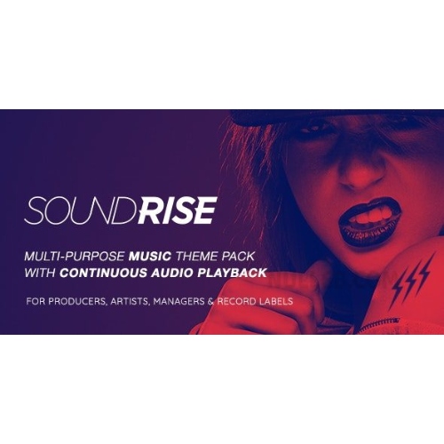 SoundRise – Artists, Producers and Record Labels WordPress Theme