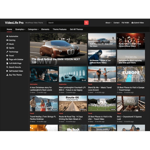 VideoLife Pro